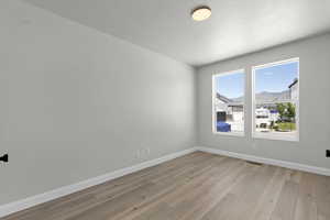 Spare room with light hardwood / wood-style floors and a mountain view