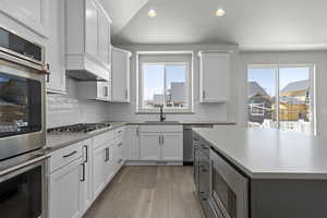 Kitchen with stainless steel appliances, a healthy amount of sunlight, and white cabinetry