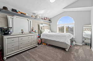 Carpeted bedroom with a textured ceiling and vaulted ceiling