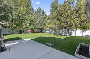 View of yard with a patio area