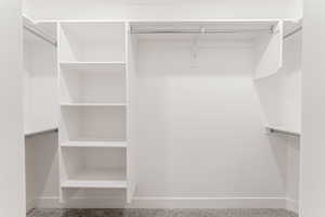 Spacious closet featuring carpet flooring