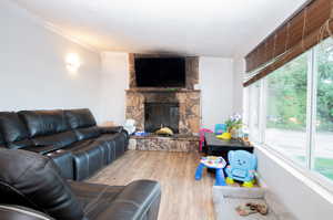 Living room featuring a fireplace, ornamental molding, light hardwood / wood-style flooring, and plenty of natural light