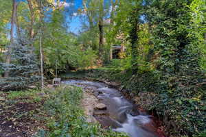 View of creek that runs along the east border of the lot