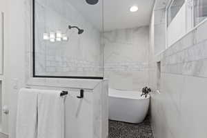 Lower Level: Master bathroom