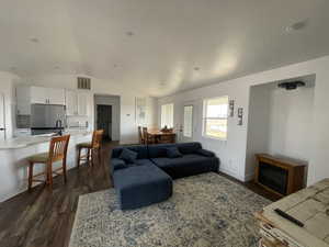 Living room with lofted ceiling and dark wood-type flooring