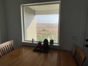 Dining area with wood-type flooring