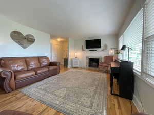 Living room featuring light hardwood / wood-style flooring