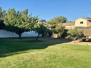 View of yard with mature fruit trees