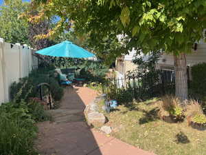 View of yard featuring a patio