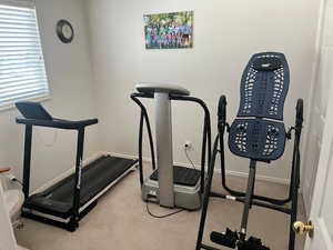 Workout room featuring light colored carpet