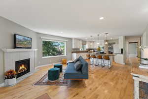 Living room with light hardwood / wood-style flooring, a fireplace, and sink