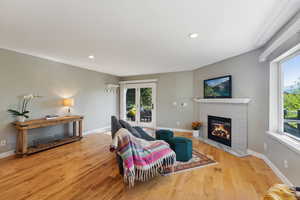 Living room with light hardwood / wood-style flooring and a wealth of natural light