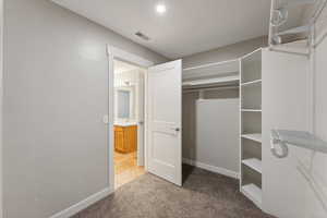 Walk in closet featuring carpet floors