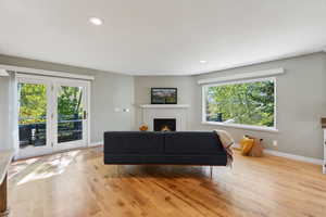 Living room with light wood-type flooring, plenty of natural light, and a fireplace