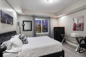 Bedroom featuring carpet and a raised ceiling