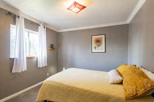 Carpeted bedroom featuring ornamental molding and a textured ceiling