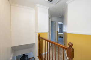 Hall featuring carpet floors, a textured ceiling, and crown molding