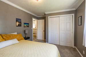 Bedroom with a textured ceiling, a closet, crown molding, and carpet flooring