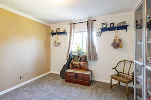 Living area featuring carpet and crown molding