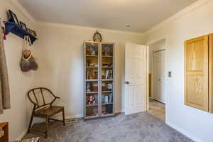 Living area featuring light colored carpet and crown molding