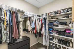 Spacious closet featuring dark wood-type flooring