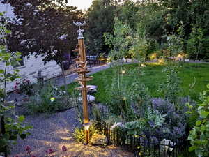 Yard in summer bloom