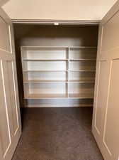 Bonus Room Closet