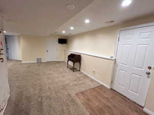 Basement Living area