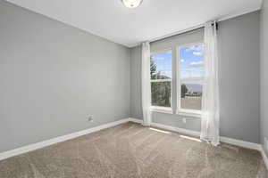 View of carpeted spare room