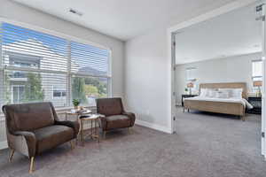 Sitting room featuring a textured ceiling and carpet flooring