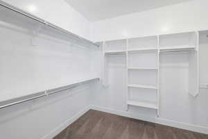 Walk in closet featuring dark colored carpet