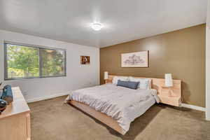 Basement bedroom 1