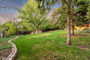 Mature privacy trees and fully fenced yard