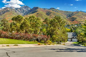 Neighborhood views of Wasatch Mountains