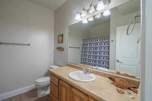 Bathroom with hardwood / wood-style floors, toilet, vanity, and a shower with shower curtain