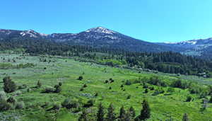 View of mountain background featuring a heavily wooded area