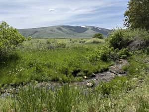 View of mountain background