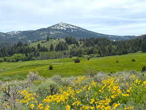 View of mountain backdrop featuring a heavily wooded area and rural landscape