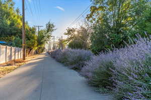 Parley's Trail behind the home