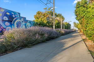 Parley's Trail behind the home