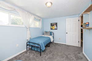 Bedroom featuring carpet and a textured ceiling