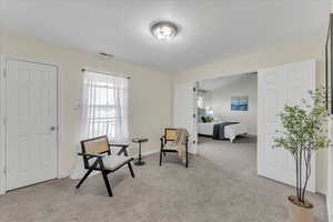 Bedroom with lofted ceiling, a textured ceiling, and light carpet