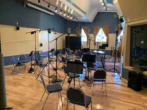 Misc room with hardwood / wood-style floors, high vaulted ceiling, and rail lighting