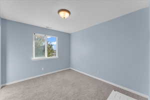 View of carpeted spare room