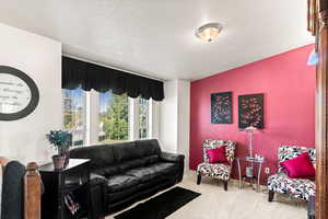 Living room featuring carpet and a textured ceiling