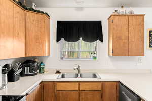 Kitchen featuring sink and stainless steel dishwasher