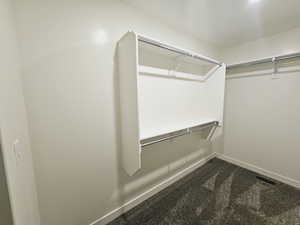 Spacious closet with carpet