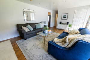 Living room featuring wood-type flooring