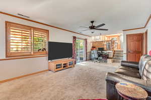 Carpeted living room featuring ceiling fan and crown molding