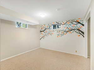 Basement with carpet floors